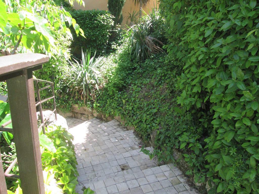 Les Chambres Du Moulin A Huile Vaison-la-Romaine Buitenkant foto